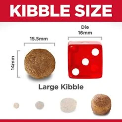 Hill's Science Diet Dry Dog Food, Adult, Large Breed, Chicken & Barley Recipe, 15 Lb. Bag -Zoo Shop 41Yj0oyf7nL