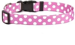 Yellow Dog Design Licorice Polka Dot Dog Collar 1" Wide And Fits Neck 18 To 28", Large -Zoo Shop 41Yv4Bl RJL. AC 2