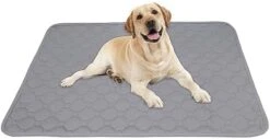 Petbuy Washable Reusable Dog Pee Pads 20”x 28”,Waterproof Non-Slip Potty Training Pads For Dogs And Cats Puppy,Fast Drying Travel Pet Pee Pads，Leak-Proof Cat Potty Pads -Zoo Shop 41Z0xhGTX6L. AC 1