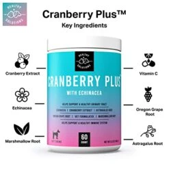 Cranberry Chews For Dogs - UTI, Bladder, Kidney, & Urinary Tract Support - Dog Health Supplements Contain Cranberry Extract, Echinacea, Vitamin C, And Astragalus Root - 60 Soft Treats