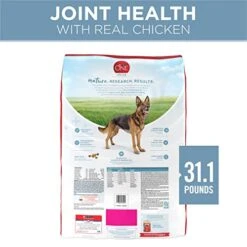 Purina ONE Plus Joint Health Formula Natural With Added Vitamins, Minerals And Nutrients Dry Dog Food - 31.1 Lb. Bag -Zoo Shop 41ZHN2GdH2L
