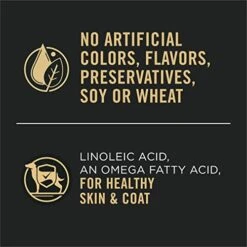 Purina Pro Plan Sensitive Skin And Stomach Wet Dog Food Pate Sensitive Skin And Stomach Beef And Oat Meal Entree - (12) 13 Oz. Cans -Zoo Shop 41ZkJzLyZGL