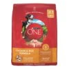 Purina ONE Chicken And Rice Formula Dry Dog Food - 31.1 Lb. Bag