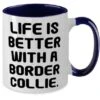 GENERIC Special Border Collie Dog Gifts, Life Is Better With A Border Collie, Border Collie Dog Two Tone 11oz Mug From Friends, Dog Toys, Dog Beds, Dog Collars, Dog Leashes, Dog Food, Dog Treats