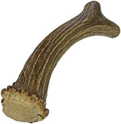 WhiteTail Naturals | Premium Deer Antlers For Dogs (Extra Large) | All Natural Antler Dog Chew | Naturally Shed, Long Lasting Chew Bone, Made In USA -Zoo Shop 41a8YBEUgNL. AC