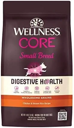 Wellness CORE Digestive Health Dry Senior Food With Wholesome Grains, Advanced Age For Dogs Over 7-Years Old, For Dogs With Sensitive Stomachs, Made In USA With Real Chicken (Senior, 24-Pound Bag) -Zoo Shop 41ady2TbJwL. AC