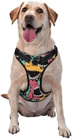 Dog Harness Leash Set Durable Oxford Breathable Reflective Puppy Harness Vest Spaghetti Italian Food For Walking Training Running, No Pull No Choke Pet Dog Harness -Zoo Shop 41afchHp5NL. AC