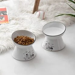 Y YHY Elevated Cat Bowl, Tilted Raised Cat Water Bowl 6-Inch Ceramic Cat Food Bowl Anti Vomiting For Dry & Wet Foods Cat Dish For Indoor Cats, Small Dogs,Protect Pet's Spine -Zoo Shop 41b5whZR5IL