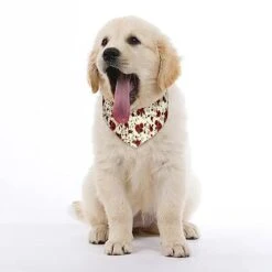 GENERIC Floral Pattern With Of Red Roses Dog Bandana,Dog Bandanas Triangle Bibs Scarf Accessories Minimal Head Cicumference -Zoo Shop 41bHXdR5lfL