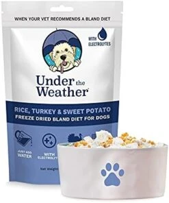 Under The Weather Easy To Digest Bland Diet For Sick Dogs - Contains Electrolytes - Gluten Free, All Natural, Freeze Dried 100% Human Grade Meats - Rice, Chicken & Pumpkin -Zoo Shop 41bMDz4BSxL. AC