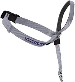 PetSafe Gentle Leader No-Pull Dog Headcollar - The Ultimate Solution To Pulling - Redirects Your Dog's Pulling For Easier Walks - Helps You Regain Control - Medium , Black -Zoo Shop 41bTJ5BIPXL. AC