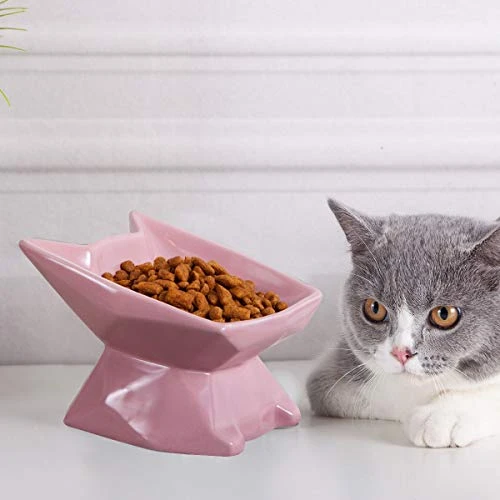 Jemirry Ceramic Raised Cat Bowl Anti Vomiting, Elevated Cat Bowls With 15° Tilt Angle, Non-Slip Food And Water Bowls For Cat And Dog, Protect Pet's Spine, Dishwasher Safe (Pink) 4 Jemirry Ceramic Raised Cat Bowl Anti Vomiting, Elevated Cat Bowls With 15° Tilt Angle, Non-Slip Food And Water Bowls For Cat And Dog, Protect Pet's Spine, Dishwasher Safe (Pink) - Image 2