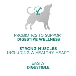 Purina One Plus Digestive Health Formula Dry Dog Food Natural With Added Vitamins, Minerals And Nutrients - 16.5 Lb. Bag 18 Purina One Plus Digestive Health Formula Dry Dog Food Natural With Added Vitamins, Minerals And Nutrients - 16.5 Lb. Bag -Zoo Shop 41bxpnDNDrL