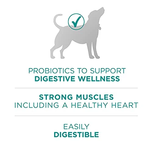 Purina One Plus Digestive Health Formula Dry Dog Food Natural With Added Vitamins, Minerals And Nutrients - 16.5 Lb. Bag 9 Purina One Plus Digestive Health Formula Dry Dog Food Natural With Added Vitamins, Minerals And Nutrients - 16.5 Lb. Bag - Image 7