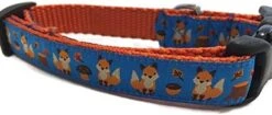 Autumn Dog Collar, Caninedesign, Fall, 1 Inch Wide, Adjustable, Nylon, Medium And Large (Fox, Large 15-22") -Zoo Shop 41cMlMfTGBL. AC