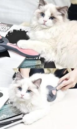 Sticky Brush 2.0 Cat Hair Brush Water Cleaning Brush Cat Cat Water Pet Wet Comb Pet Hair Cleaning Brush Pet Cat Grooming Brush (Cat Brush + Bowl For Pets) -Zoo Shop 41cgrew6HlL
