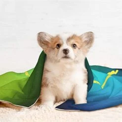 Piece Of Pizza In The Shape Of Lightning Pet Blanket Warm Cozy Soft Mattress Bedspread For Dogs Cats Bed -Zoo Shop 41ciBqnHj2L. AC 2