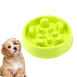 Balacoo Plastic Slow Feeder Cat Feeding Devices Puppy Feeder Dog Bowls Dog Slow Bowl Anti Dog Food Bowl Plastic Dog Food Feeding Bowl For Pet Dog (Light Green) Puppy Pet Slow Feeder Bowl 13 Balacoo Plastic Slow Feeder Cat Feeding Devices Puppy Feeder Dog Bowls Dog Slow Bowl Anti Dog Food Bowl Plastic Dog Food Feeding Bowl For Pet Dog (Light Green) Puppy Pet Slow Feeder Bowl -Zoo Shop 41cmkpMAaoL