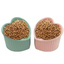 Kathson 2 Pack Ceramic Elevated Cat Bowls Tilted Raised Cat Food Bowls Anti Vomit Cat Bowls For Indoor Cats Elevated Porcelain Pet Feeder Dish Stress Free Cat Water Bowl For Cats Kitty Puppy