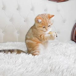 Purina Dentalife Dental Cat Treats 2 Flavor 4 Pouch Variety, 2 Each: Tasty Chicken, Savory Salmon (1.8 Ounces) | Plus 2 Catnip Toys Bundle -Zoo Shop 41cvuyxKFZL