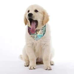 GENERIC Grunges Ethnic Pattern On Blur Dog Bandana,Dog Bandanas Triangle Bibs Scarf Accessories Minimal Head Cicumference 12 GENERIC Grunges Ethnic Pattern On Blur Dog Bandana,Dog Bandanas Triangle Bibs Scarf Accessories Minimal Head Cicumference -Zoo Shop 41cwQkuFokL