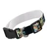 GENERIC Cartoon Sushi Pet Collar - Food Design Dog Collar - Cute Dog Collar - M