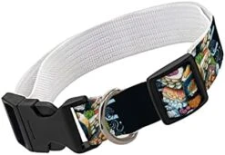 GENERIC Cartoon Sushi Pet Collar - Food Design Dog Collar - Cute Dog Collar - M -Zoo Shop 41cz4GkuagL. AC