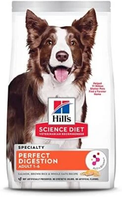 Hill's Science Diet Adult Dog Dry Food, Perfect Digestion, Salmon, Oats, & Rice Recipe, 12 Lb. Bag -Zoo Shop 41dPEtu9QcL. AC