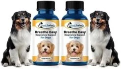 BestLife4Pets Breathe Easy Respiratory Support For Dog - All-Natural All-in-One Pet Supply For Natural Relief For Kennel Cough, Runny Nose, Sneezing And Sinus Congestion - Easy To Use Pills -Zoo Shop 41dPiYBGmRL. AC