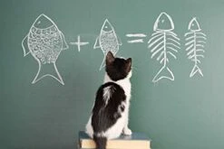 I LOVE MY PETS LLC Fish Oil For Cats Capsules - Omega 3 Fatty ACIDS For Cats - Best Health Option - Premium - Cat Omega 3 Oil - 540 Softgels (3 Bottles) -Zoo Shop 41dfXthb1cL 2