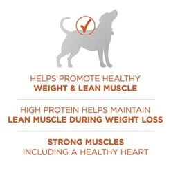 Purina ONE Plus Healthy Weight High-Protein Dog Food Dry Formula - 8 Lb. Bag -Zoo Shop 41dmDfUMaQS