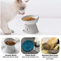 Y YHY Elevated Cat Bowl, Tilted Raised Cat Water Bowl 6-Inch Ceramic Cat Food Bowl Anti Vomiting For Dry & Wet Foods Cat Dish For Indoor Cats, Small Dogs,Protect Pet's Spine -Zoo Shop 41doQhLKxnL