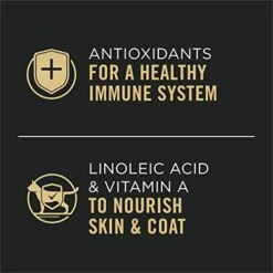 Purina Pro Plan Gravy, High Protein Wet Cat Food, Complete Essentials Ocean Whitefish And Tuna Entree In Sauce - (24) 5.5 Oz. Cans -Zoo Shop 41dywRz7EvL