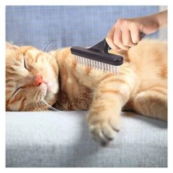 AIRFUL Pet Supplies For Dogs Bed Pet Grooming Brush Shedding And Dematting Undercoat Rake Comb For Dogs And Cats Extra Wide Blue Pet Supplies For Cats Food (Blue, One Size) (Color : Blue) -Zoo Shop 41e4ZfKPmEL