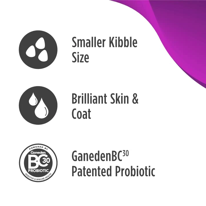 Nulo Freestyle Small Breed Dog Food, Premium Adult And Puppy Grain-Free Dry Smaller Sized Kibble Food, With BC30 Probiotic For Healthy Digestion Support 6 Nulo Freestyle Small Breed Dog Food, Premium Adult And Puppy Grain-Free Dry Smaller Sized Kibble Food, With BC30 Probiotic For Healthy Digestion Support - Image 4