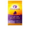 Wellness Complete Health Grain-Free Dry Dog Food, Natural Ingredients, Made In USA With Real Meat, For All Lifestages (Chicken, 24-Pound Bag)