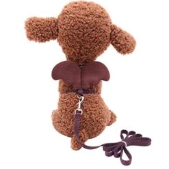 XxiaoTHAWxe Pet Leash Traction Rope, Cute Solid Color Mini Wings Nylon Pet Harness Chest Strap Dog Cat Lead Leash For Walking Training Running - Coffee XS