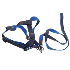 FakeFace Heavy Duty Denim Nylon No Pull Dog Leash Harness/Collar Set For Medium Large Dogs Of High Durability Adjustable, Perfect For Training Walking Dogs 12 FakeFace Heavy Duty Denim Nylon No Pull Dog Leash Harness/Collar Set For Medium Large Dogs Of High Durability Adjustable, Perfect For Training Walking Dogs -Zoo Shop 41eLanoGVQL