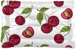 Fast Junk Food Hamburger French Fries Ice Cream Faces On Black Dog Cat Bed Mat Soft Crate Pad Mattress Cushion For Small Medium Pets, Anti Slip Sleeping Kennel Mat Washable & Dry 36x24 Inch -Zoo Shop 41eUL9fNyiL. AC