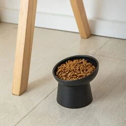 KITCHENLESTAR Small Ceramic Raised Cat Bowls, Tilted Elevated Food Or Water Bowls, Stress Free, Backflow Prevention, Dishwasher And Microwave Safe, Lead & Cadmium Free(Black) -Zoo Shop 41etiixqYBL