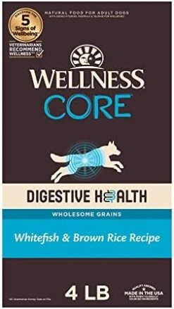 Wellness CORE Digestive Health Dry Senior Food With Wholesome Grains, Advanced Age For Dogs Over 7-Years Old, For Dogs With Sensitive Stomachs, Made In USA With Real Chicken (Senior, 24-Pound Bag) -Zoo Shop 41fHx hqhiL. AC