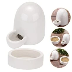 IWOWHERO 1 Set Rutin Chicken Drinker Ceramic Pet Water Fountain Pigeon Feeder Quail Feeders Duck Feeder Chick Feeding Stand Dog Water Fountain Pigeon Quail Water Feeder Chicken Suppky Food -Zoo Shop 41gAnxtI9xL