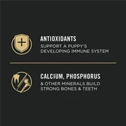 Purina Pro Plan High Protein Dry Puppy Food, Chicken And Rice Formula - 18 Lb. Bag -Zoo Shop 41gF3FfYBPL 1