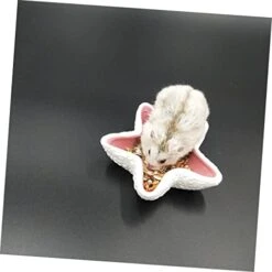 EVANEM 2pcs Pentagram Food Bowl Bird Cage Feeder Ceramic Water Bowl Bunny Feeder Hamster Feeding Bowl Small Pet Feeder Bird Cage Water Food Feeder Pet Food Bowl Pet Supply Blue Ceramics 12 EVANEM 2pcs Pentagram Food Bowl Bird Cage Feeder Ceramic Water Bowl Bunny Feeder Hamster Feeding Bowl Small Pet Feeder Bird Cage Water Food Feeder Pet Food Bowl Pet Supply Blue Ceramics -Zoo Shop 41h5Jhv0aIL 1