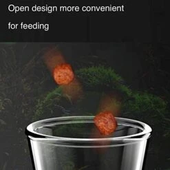 GENERIC 2in1 Shrimp Feeding Tube And Dish, Clear Crystal Glass Shrimp Feeder Tube Tray For Fish Tank Aquarium Shrimp (10in Feeding Tube + 60mm Dish) -Zoo Shop 41hVveJesNL