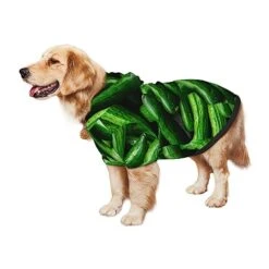 Cucumber Vegetables Green Food Dog Costume Large Pets Wear Hoodies Winter Large Cats Cloth Sweatshirts Jacket Pullover -Zoo Shop 41hWFJctgML