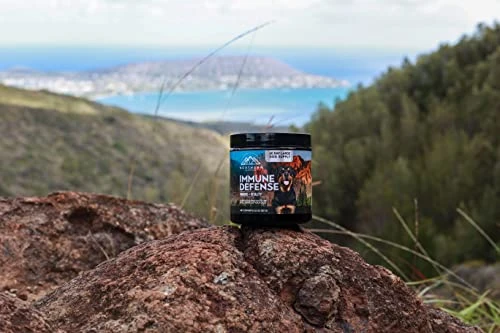 Northern Cascades Dog Immunity Supplement Supporting Superfood Mushroom To Strengthen K9 Immune System And Increase Vitality 5 Northern Cascades Dog Immunity Supplement Supporting Superfood Mushroom To Strengthen K9 Immune System And Increase Vitality - Image 3