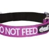 DO NOT Feed (Dog Is On A Diet/Has Food Allergies) Purple Colour Coded S-M L-XL Dog Collars Prevents Accidents By Warning Others Of Your Dog In Advance (L-XL)