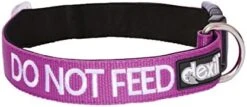 DO NOT Feed (Dog Is On A Diet/Has Food Allergies) Purple Colour Coded S-M L-XL Dog Collars Prevents Accidents By Warning Others Of Your Dog In Advance (L-XL) -Zoo Shop 41huIpJDWFL. AC 1