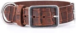 MyFamily Adjustable Dog Collar In Genuine Italian Made Leather, Antique Silver Metallic Finish, Comfortable And Durable, Handmade, Tucson Collection -Zoo Shop 41i5 KmYWnL. AC 1